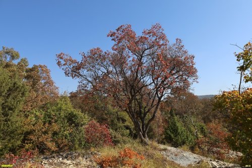 Перспективная ООПТ Камчатская скала